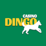 dingo kasyno