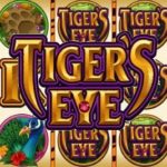 Tiger’s Eye