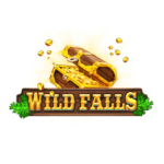 Wilds Falls