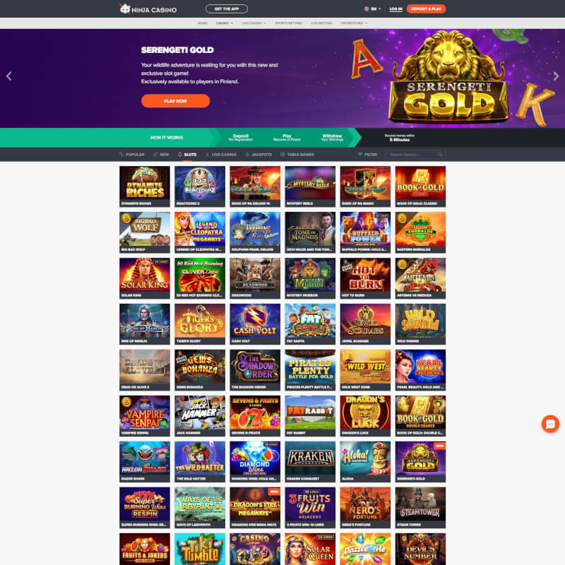 Ninja Casino screenshot 2