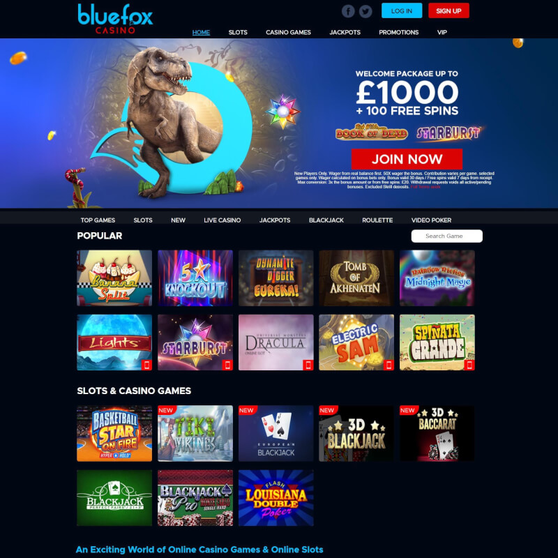 BlueFox Casino screenshot 1