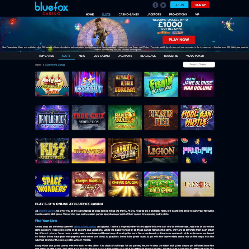 BlueFox Casino screenshot 2