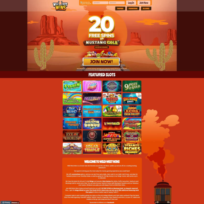 crazy West Wins screenshot 1