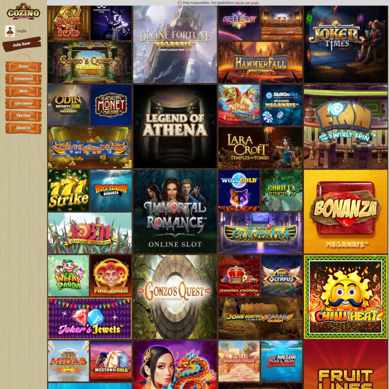 Cozino screenshot 2