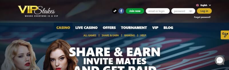 vip stakes help options review-logo