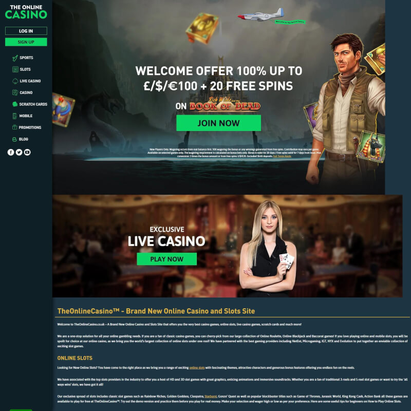 the web Casino screenshot 1