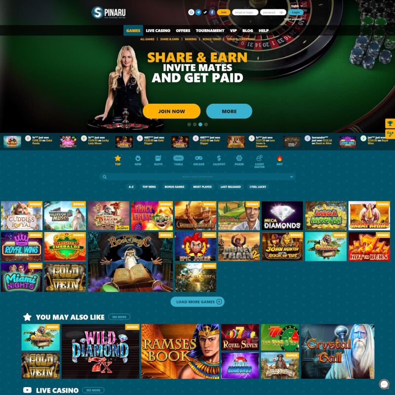 Spinaru screenshot 1