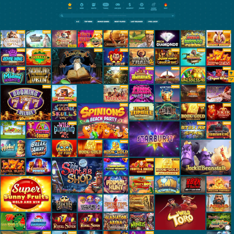 Spinaru screenshot 2