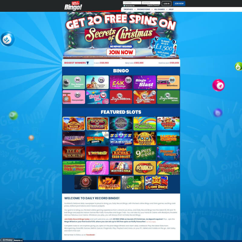 constant Record Bingo screenshot 1