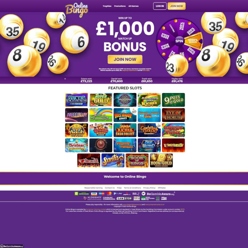 on line Bingo Casino screenshot 1
