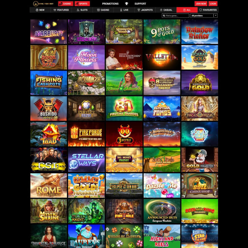 Royal Tiger Bet screenshot 2